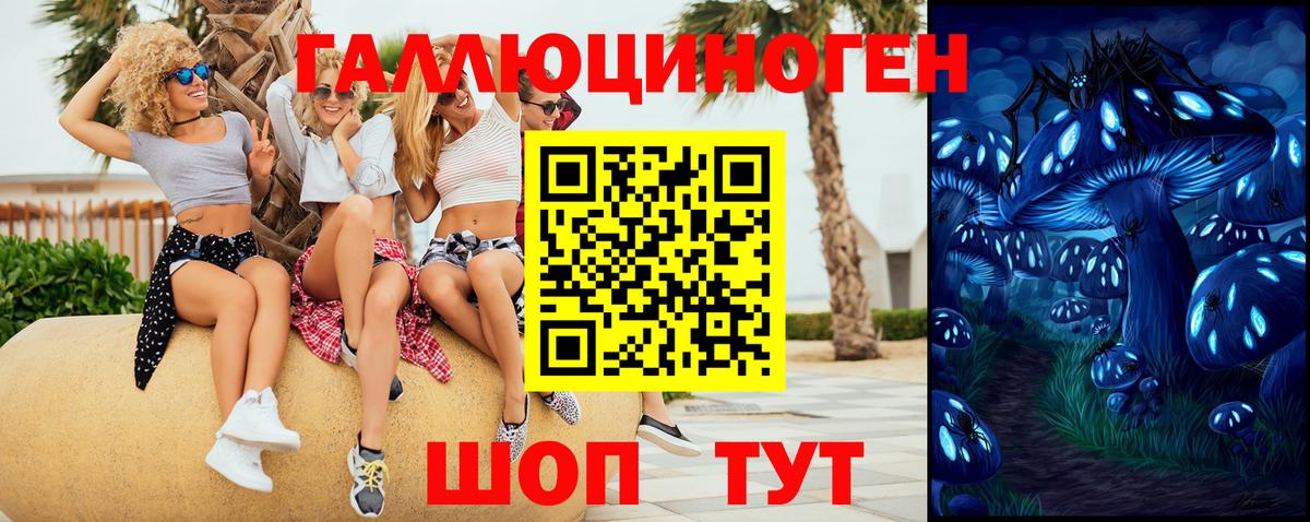 Сертолово  Галлюциногенные грибы прущие грибы  Вход с VPN  Галлюциногенные грибы GOLDEN TEACHER 